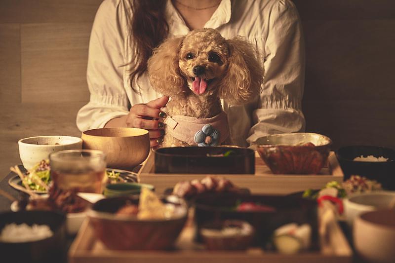 【静岡】愛犬と工芸体験もプリクラもフォトスタジオも！全てのブースで一緒に過ごせる複合施設『1HOTEL』の画像
