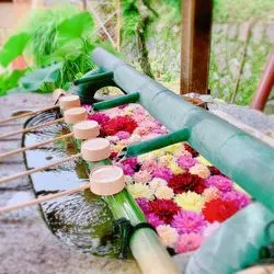 インスタ女子必見【華手水舎がフォトジェニック】日本最初の厄除寺♡