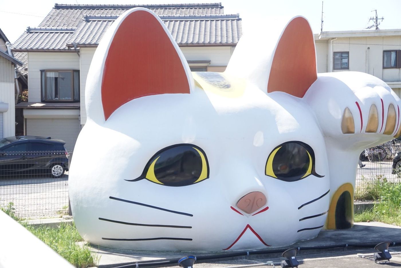 の画像