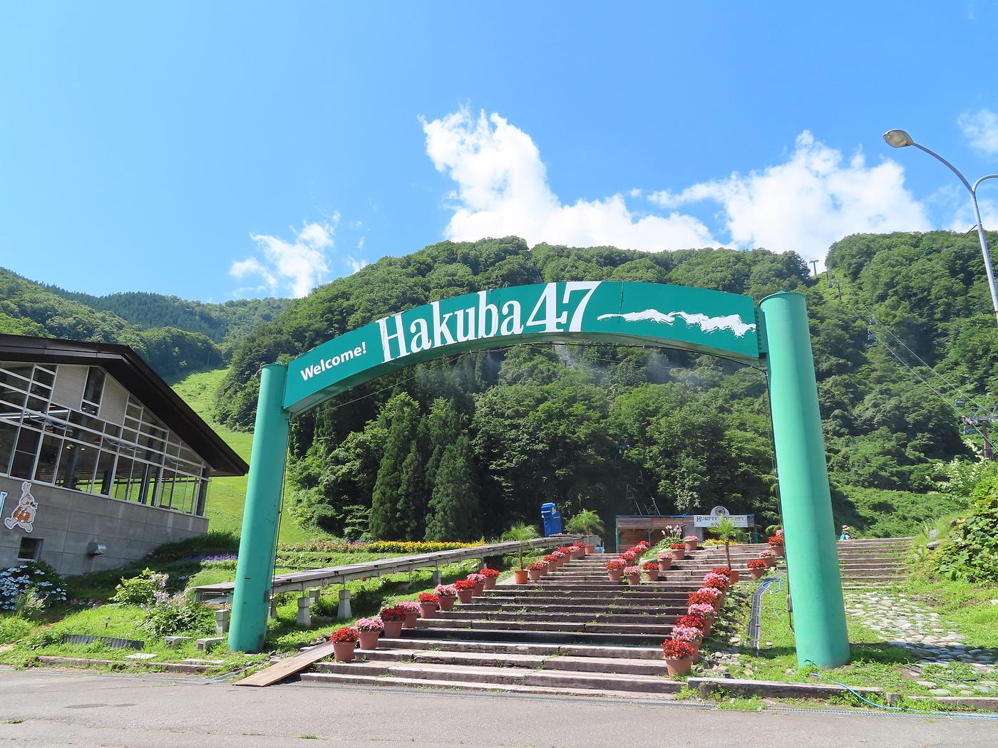 【白馬村】ゴンドラで涼風の絶景へ！夏の白馬で楽しむ高原ビュー＆大自然アクティビティの画像