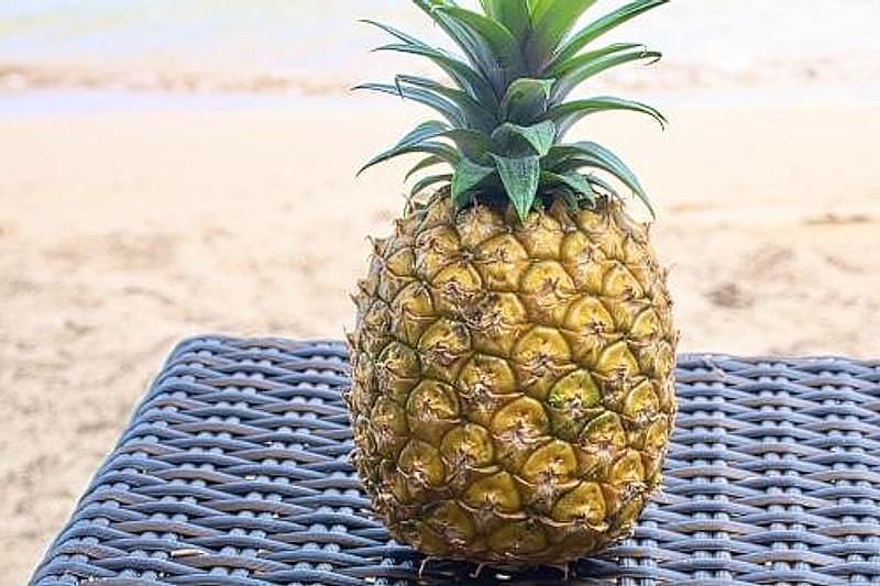 Solo Travel in Ishigaki:cafe&bar sazanami Smoothiesの画像