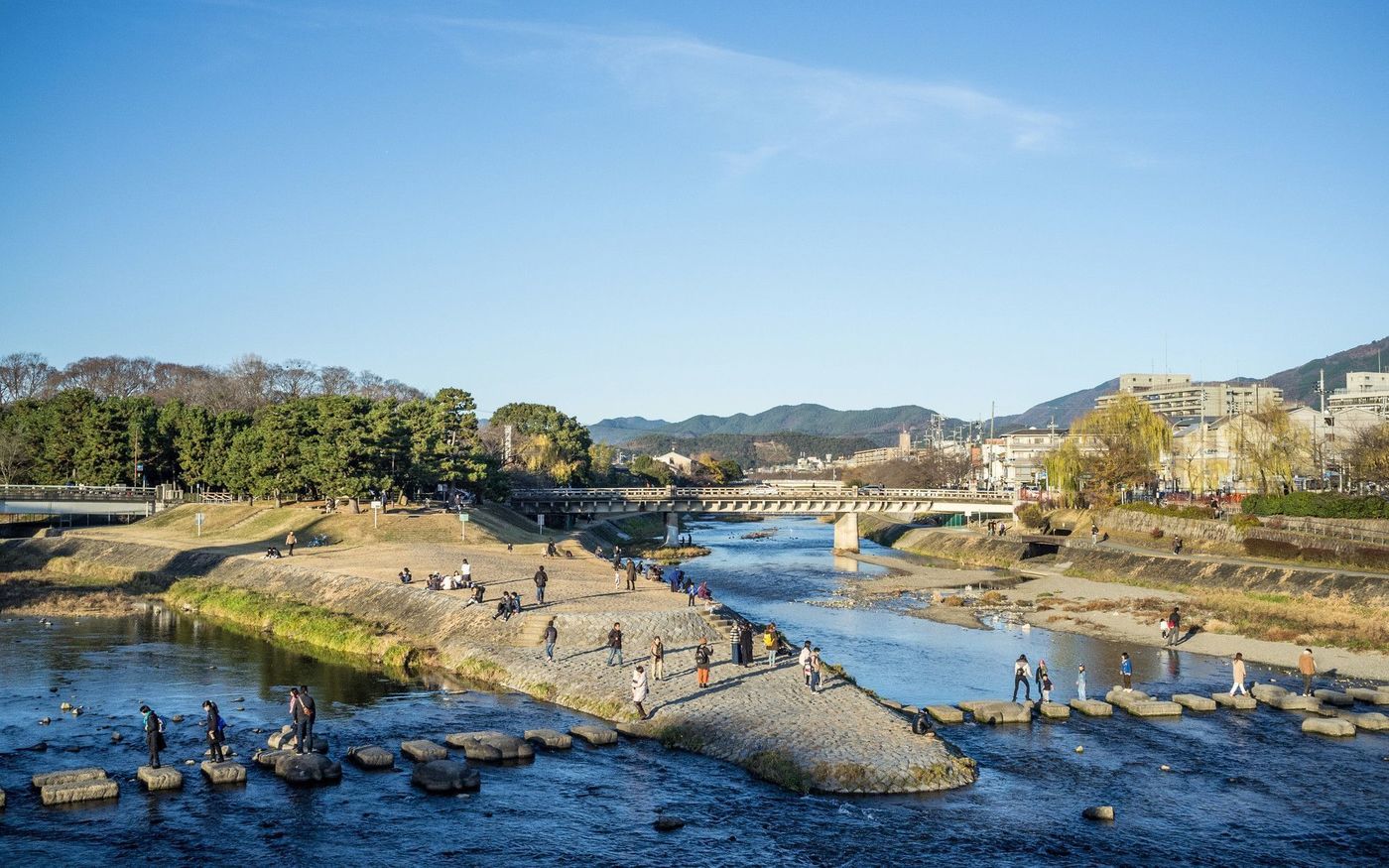 の画像