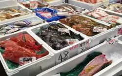 川越の魅力はまだまだたくさん！川越総合卸売市場で朝活しよう♪