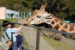 【静岡】伊豆のオススメ観光スポット5選！デートにも旅行にも◎