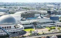 名古屋港水族館の年パスがおすすめ！でらお得に使える特典も紹介