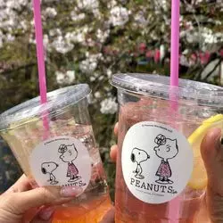 【中目黒】スヌーピーの世界へ♡おしゃれ可愛い「スヌーピーカフェ」