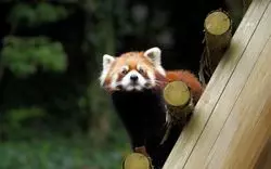愛媛県立とべ動物園を完全攻略！家族やカップルで動物園に行こう