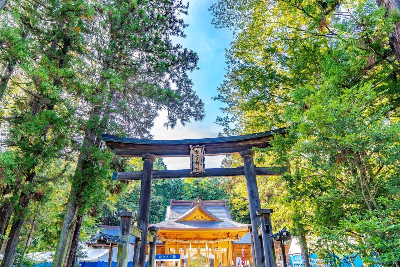 【長野の絶景】そろそろ旅に出ない？長野ひとり旅の推しプラン4選♡の画像