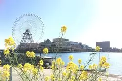 【横浜】半日フォト散歩♪横浜で海と街を撮りに歩こう！