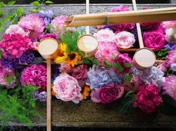 【京都】素敵な女性になりたいあなたにオススメ♡美があふれる勝林寺