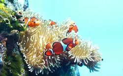 「登別マリンパークニクス」はお城型の水族館！料金や回り方をご紹介