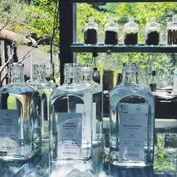 【千葉】蒸留酒を味わおう♡ボタニカル蒸留所「MITOSAYA」！