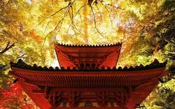 大阪に秋が訪れたら見に行きたい紅葉！絶景が広がるおすすめ9選