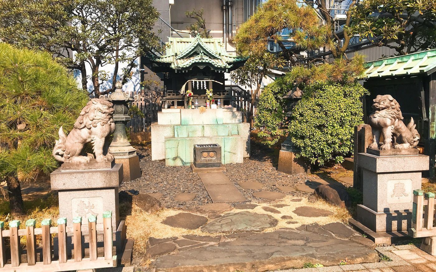 の画像