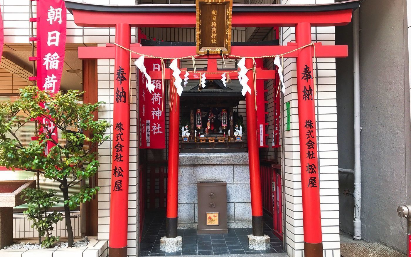 の画像