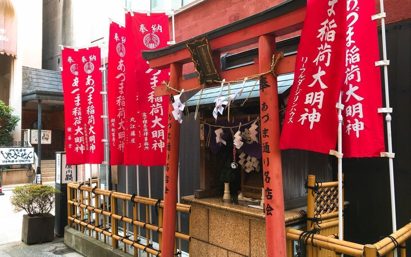 の画像