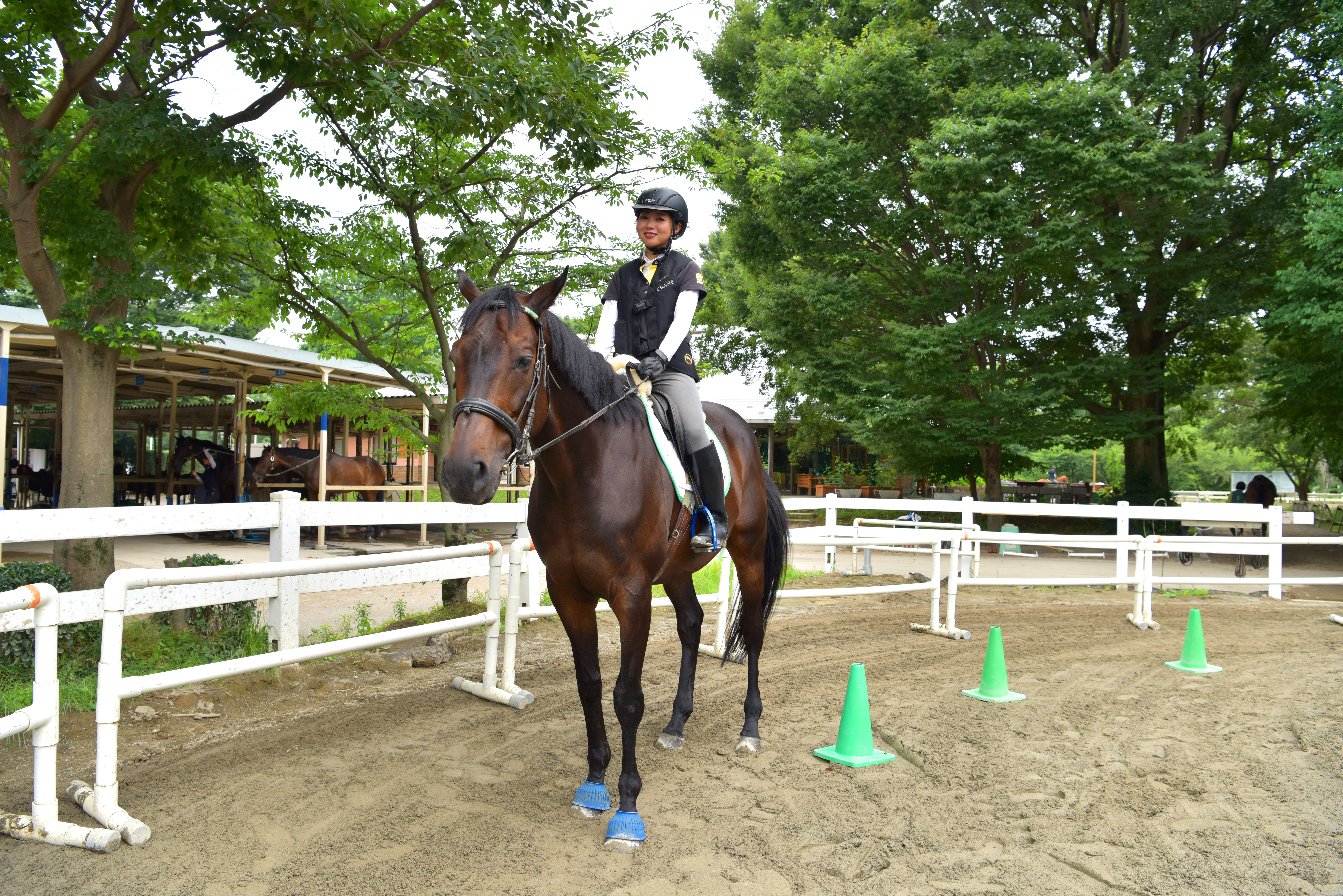 インドアvsアウトドア インドア女子は乗馬体験を楽しめるのか Aumo アウモ インドアvsアウトドア インドア女子は乗馬体験を楽しめるのか Aumo アウモ
