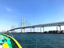 【中華街から徒歩5分】釣って食べられるプランをご紹介♪