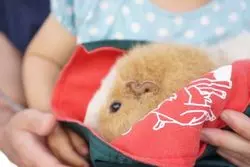【広島】大人も子どもも1日たっぷり遊べる！「安佐動物公園」