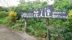 【沖縄】地元民オススメ！古民家でいただくこだわりピザ