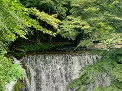 【愛知】夏に行きたい！四季折々の渓谷美で心も体もリフレッシュ☆