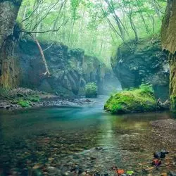【北海道の絶景】苔と川のせせらぎを感じて！絶景スポットをご紹介♪