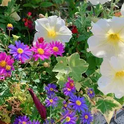 【大阪】花の文化園♪休日は植物園に校外学習へ行こう♡