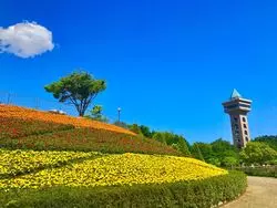 神奈川の無料施設♪相模原麻溝公園へピクニックにいこう！