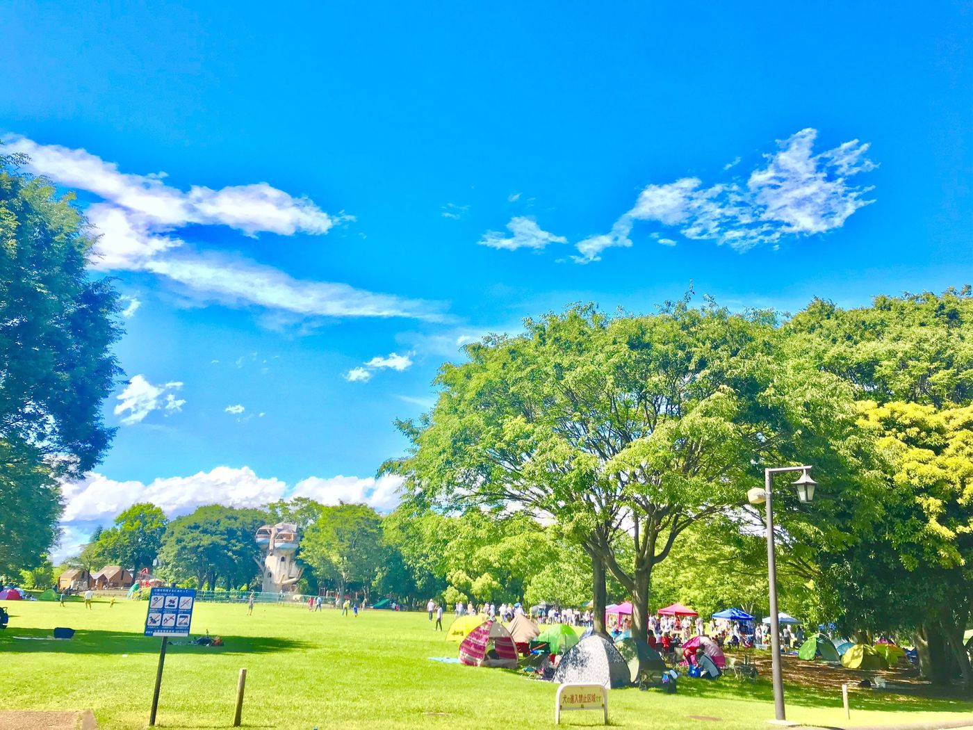 神奈川の無料施設♪相模原麻溝公園へピクニックにいこう！の画像