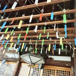 夏の風物詩【風鈴まつり】2500個の風鈴がフォトジェニック♡