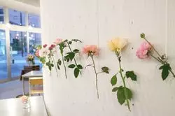 【滋賀】魅力的な空間♡バラに囲まれた素敵カフェ