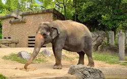 【動物園といえば大阪】触れたりエサをあげたりできる人気動物園6選