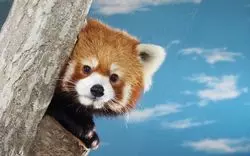 那須の動物園ならここでしょ！色々な動物に癒されちゃおう