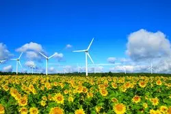 福島へおでかけ。夏の終わりにひまわりの絶景を見に行こう