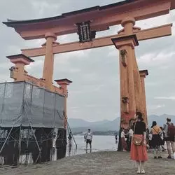 【広島・宮島】人気のおすすめスポット&グルメをご紹介します！