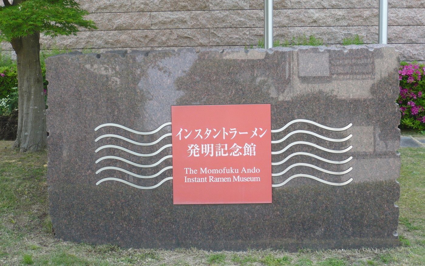 の画像