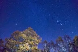 日光東照宮だけじゃない！！栃木のおすすめ観光地5選！！