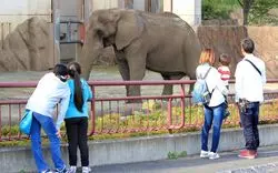 【2019】盛岡の動物園を徹底リサーチ！ローカル感が人気？