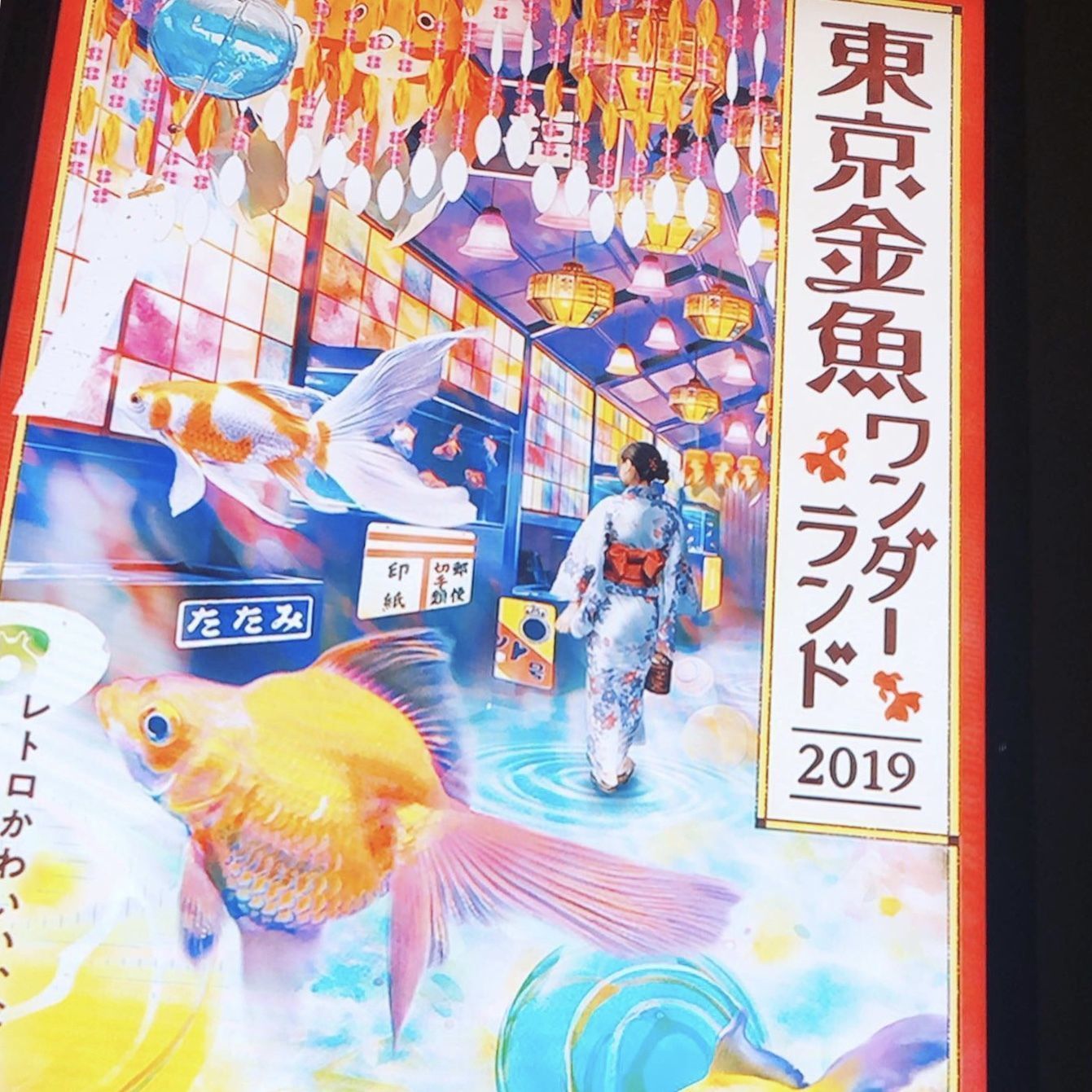 10月末まで☆レトロ可愛い東京金魚ワンダーランドの画像