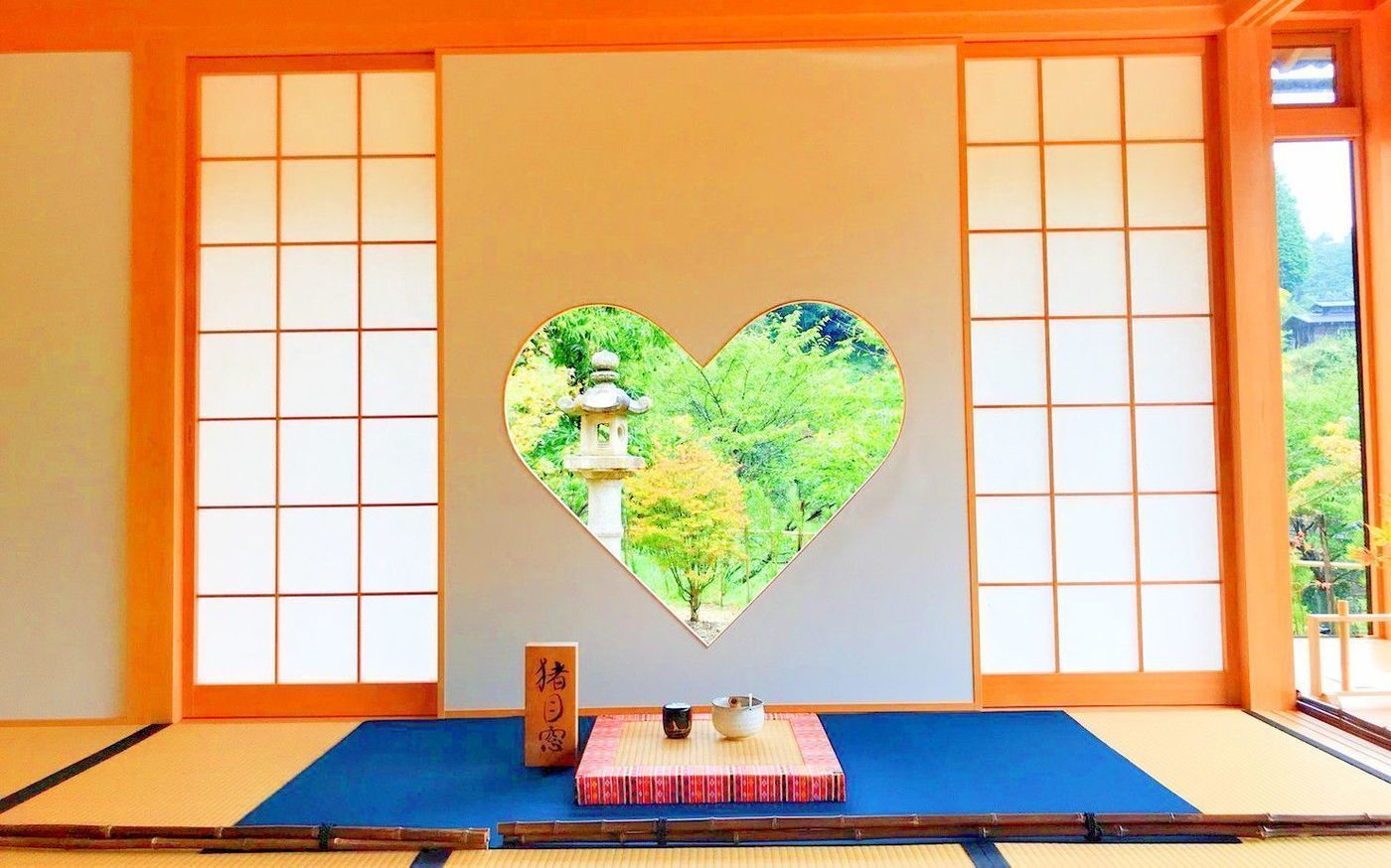 の画像