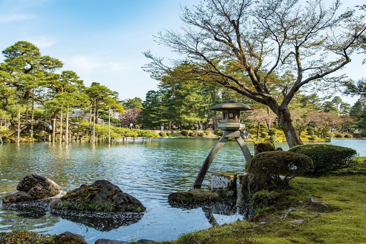 の画像