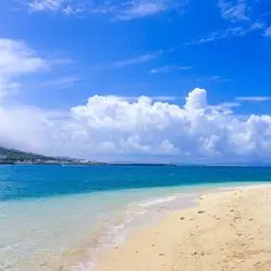 【沖縄本島】北部エリアの美しさを堪能してみませんか？