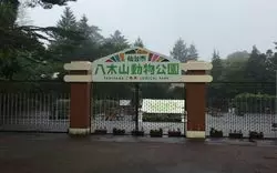 "仙台市八木山動物公園"を徹底攻略！ランチスポットや周辺施設も