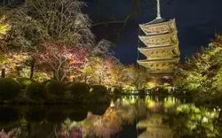 【京都の4大五重塔】古代建築の賜物・五重塔巡りをしよう♪