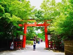 癒しの旅【京都編】すぐに行きたくなる、下鴨神社と周辺グルメ。