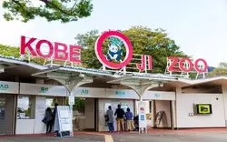 「神戸市立王子動物園」パンダやコアラが人気の動物園を徹底解剖！