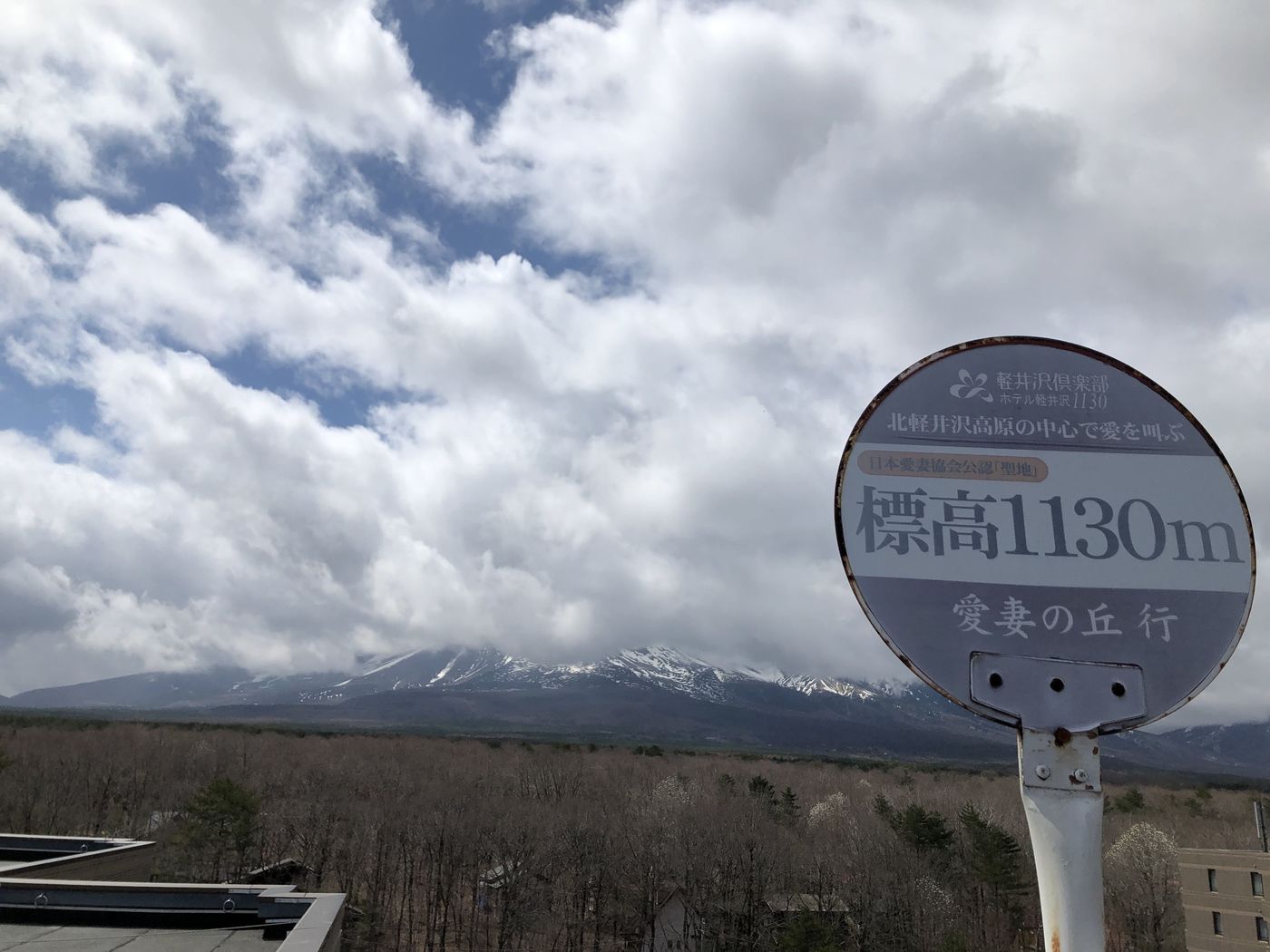 の画像