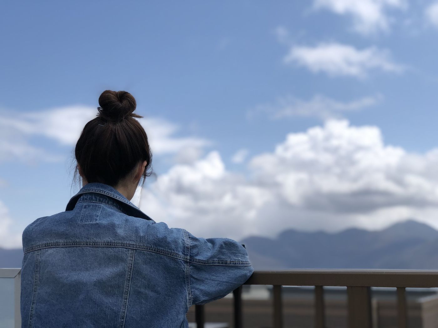 の画像