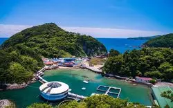 静岡の水族館で素敵な思い出作り！ぜひ行きたいおすすめ5選