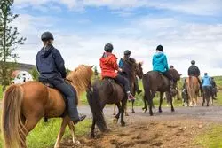 京都の乗馬クラブ5選。初心者から本格派までおすすめのスポット　